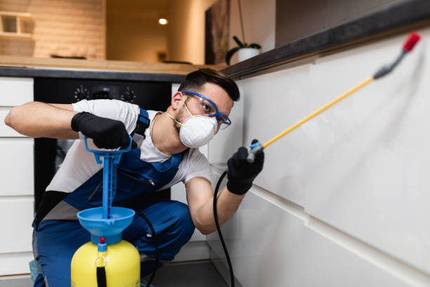 Best Exterminator Services  in Mannington, WV
