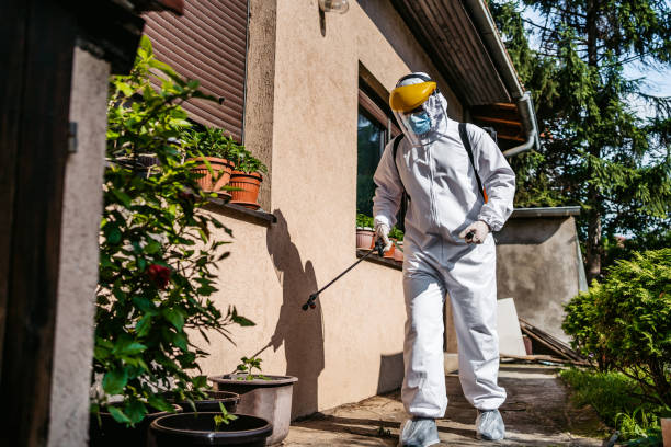 Best Exterminator Services  in Mannington, WV