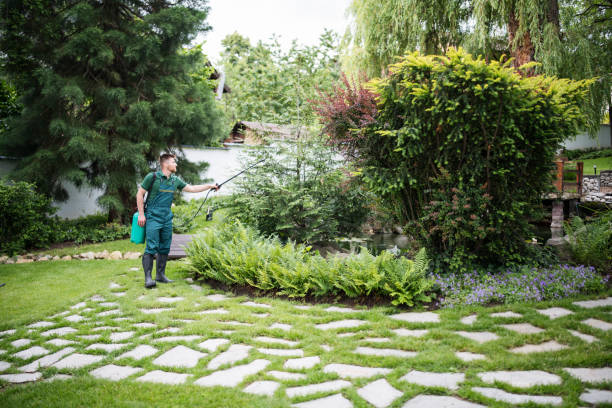 Best Pest Control Near Me  in Mannington, WV