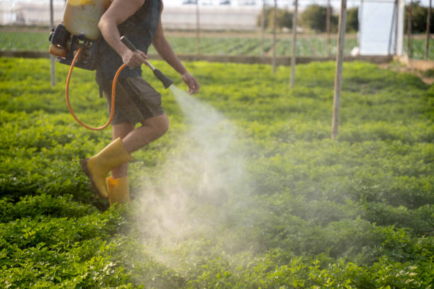 Best Best Pest Control Near Me  in Mannington, WV