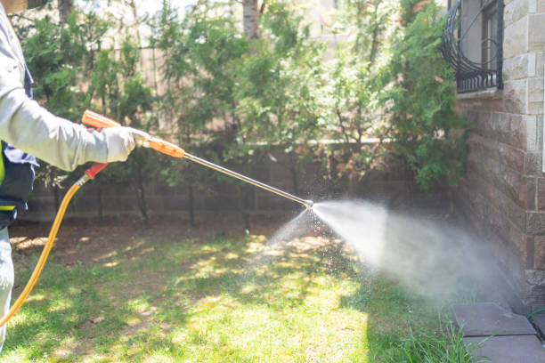 Best Flea Control Services  in Mannington, WV