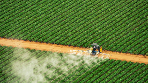 Best Pest Prevention Services  in Mannington, WV