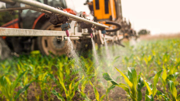 Best Ant Control Services  in Mannington, WV